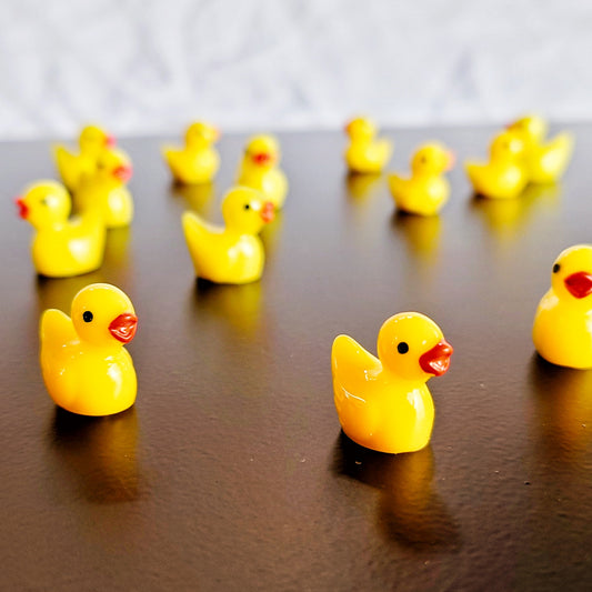 20x Cute Magnetic Ducks 🦆 Fridge Magnets, Whiteboards, Memos, Noticeboards 🦆